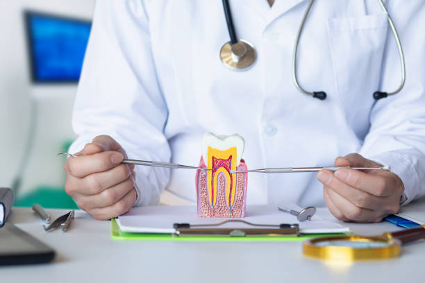 Best Emergency TMJ Treatment in Bethpage, NY